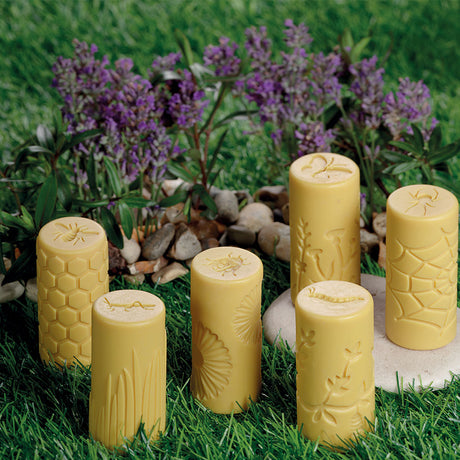 Garden Bug Rollers - Set of 6 - Educating Kids