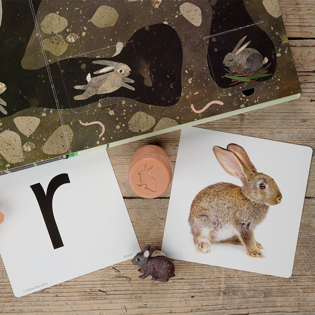 Forest Friends Rollers - Set of 6