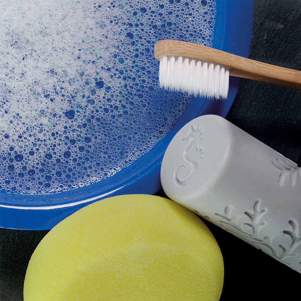 Ocean Life Rollers - Set of 6