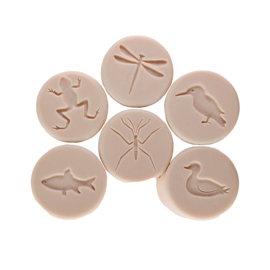 Pond Life Rollers - Set of 6