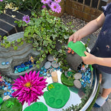 Pond Life Rollers - Set of 6