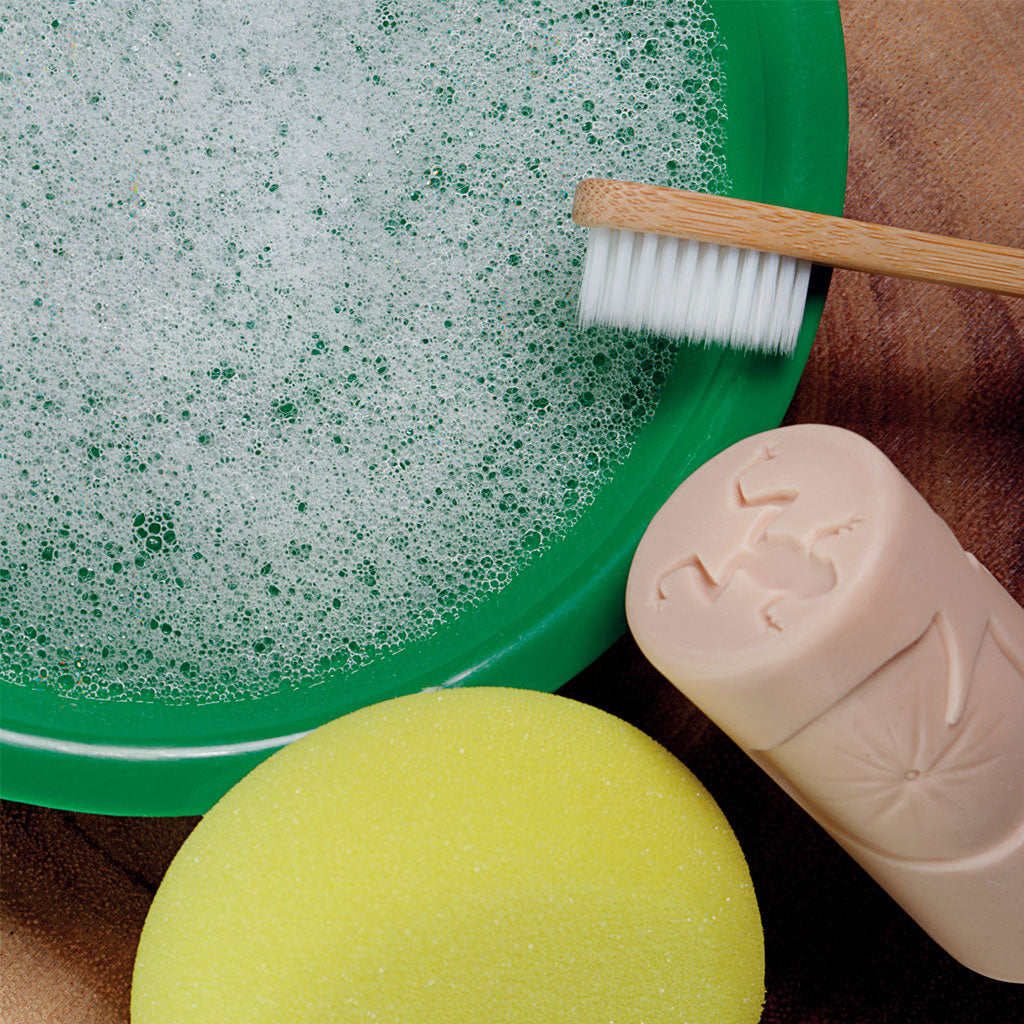 Pond Life Rollers - Set of 6