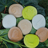 Let's Investigate Nature - Set of 8