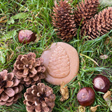 Let's Investigate Nature - Set of 8