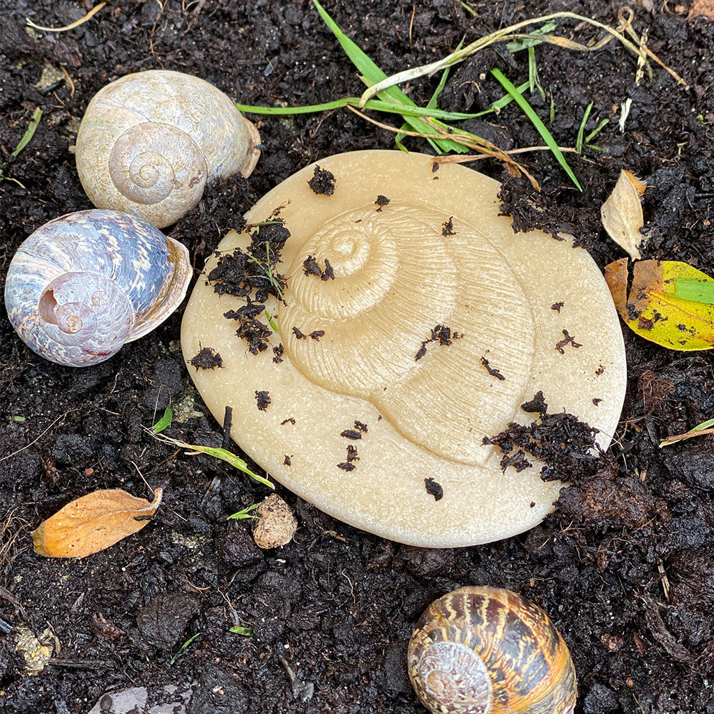 Let's Investigate Nature - Set of 8