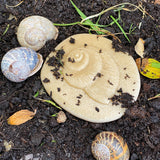 Let's Investigate Nature - Set of 8