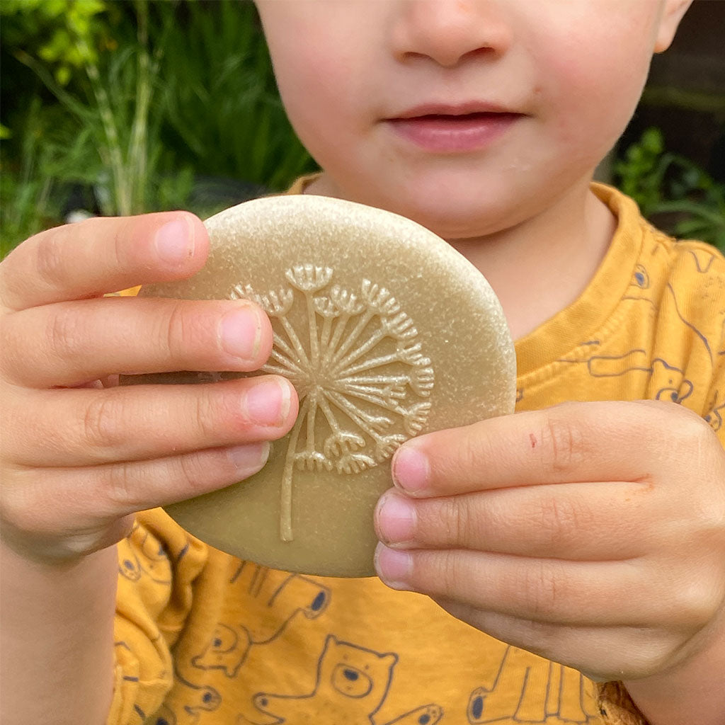 Let's Investigate Nature - Set of 8