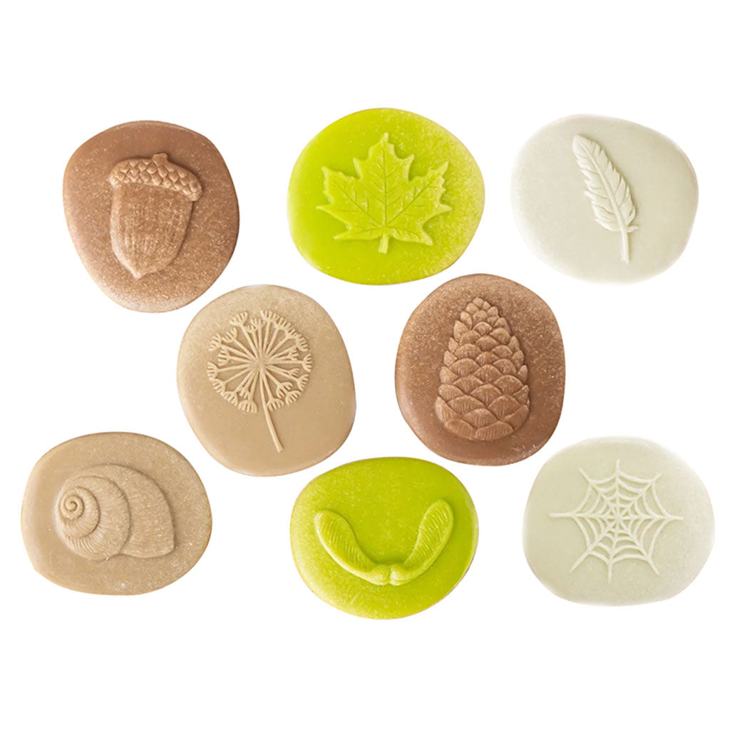 Let's Investigate Nature - Set of 8