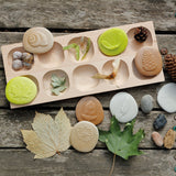 Let's Investigate Nature - Set of 8