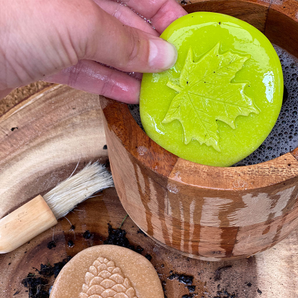 Let's Investigate Nature - Set of 8