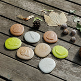 Let's Investigate Nature - Set of 8