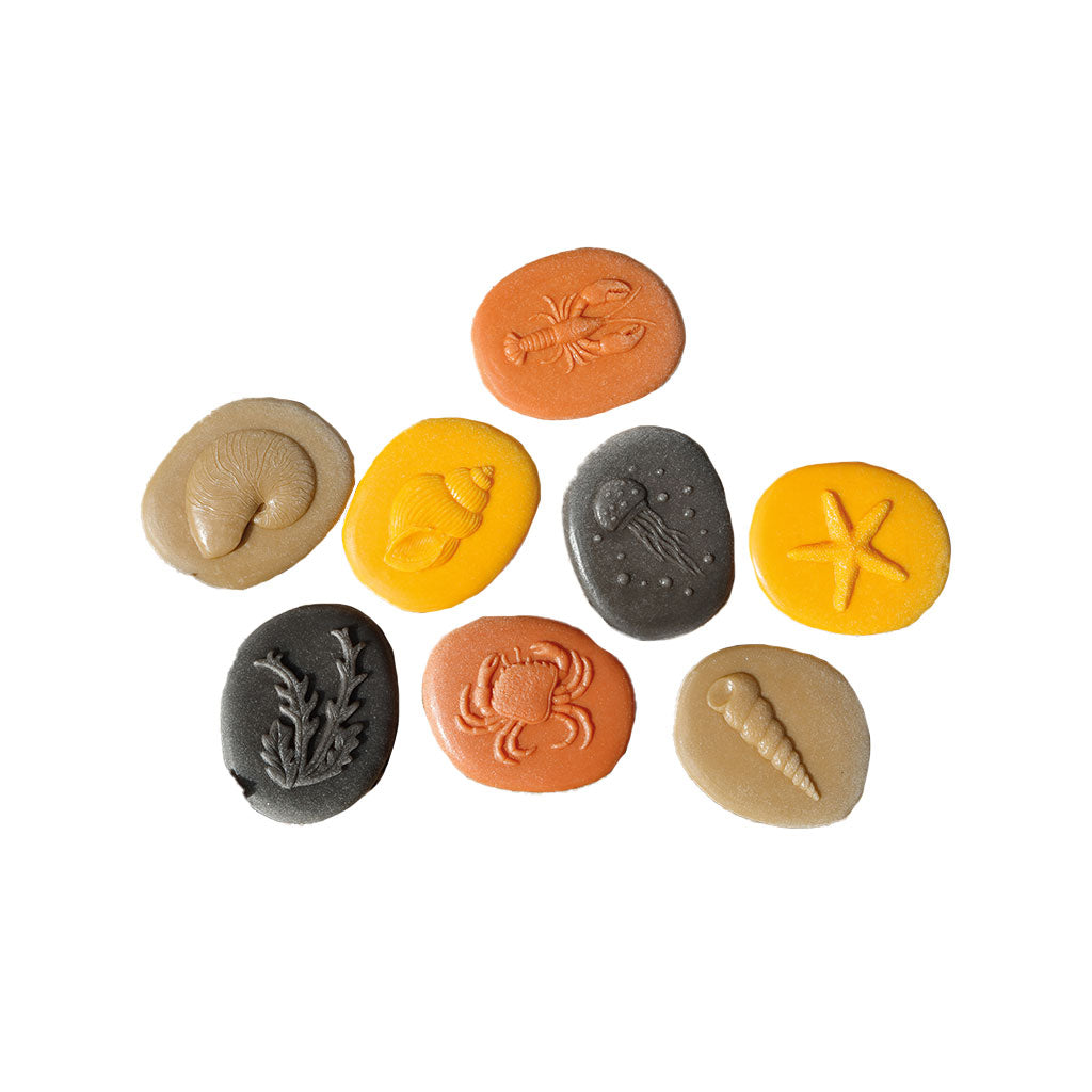 Let's Investigate Seashore - Set of 8