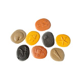 Let's Investigate Seashore - Set of 8