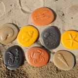 Let's Investigate Seashore - Set of 8