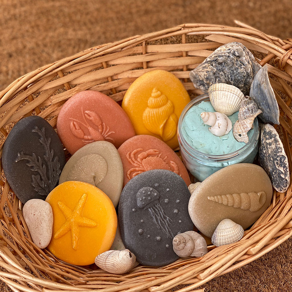 Let's Investigate Seashore - Set of 8