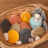 Let's Investigate Seashore - Set of 8