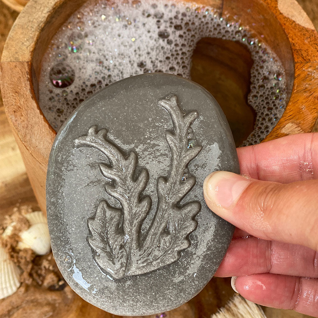 Let's Investigate Seashore - Set of 8