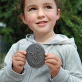 Let's Investigate Seashore - Set of 8