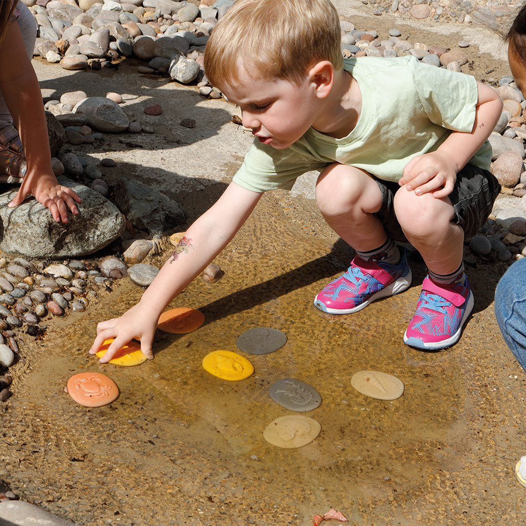 Let's Investigate Seashore - Set of 8