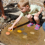 Let's Investigate Seashore - Set of 8