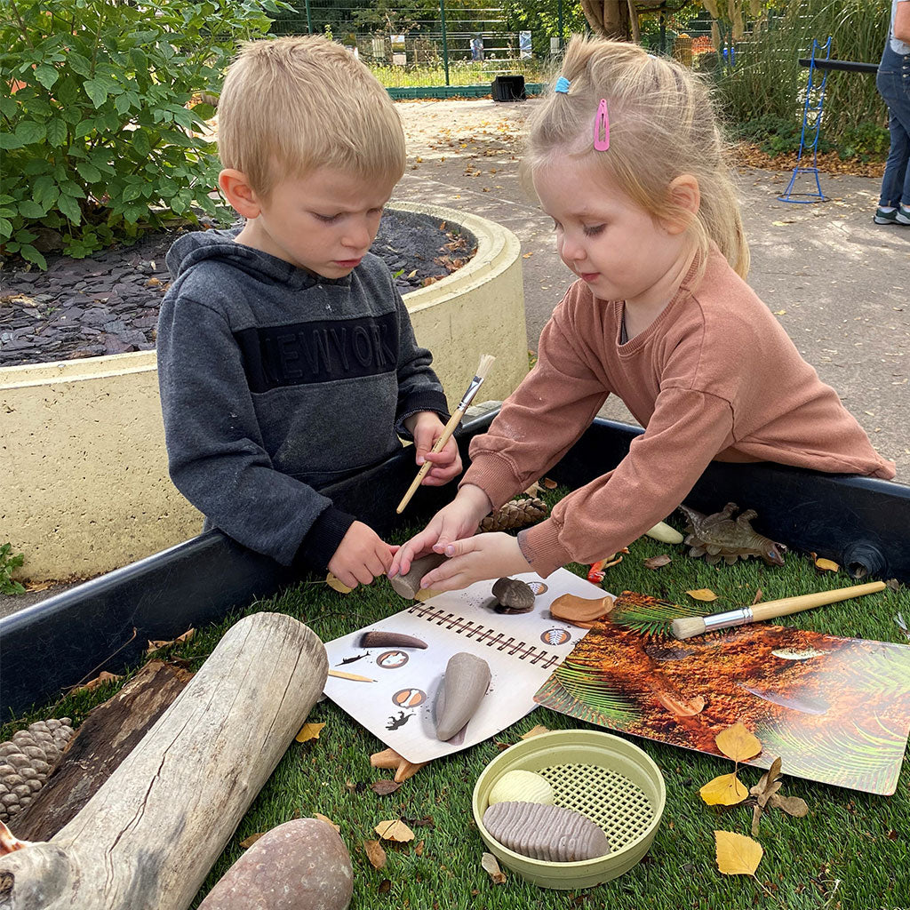 Prehistoric Teeth - Set of 8