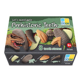 Prehistoric Teeth - Set of 8