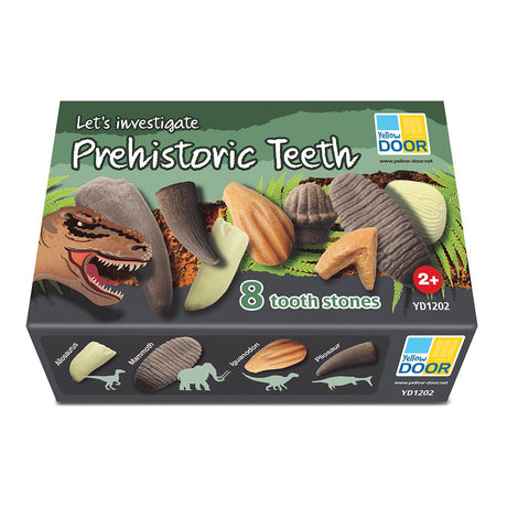 Prehistoric Teeth - Set of 8
