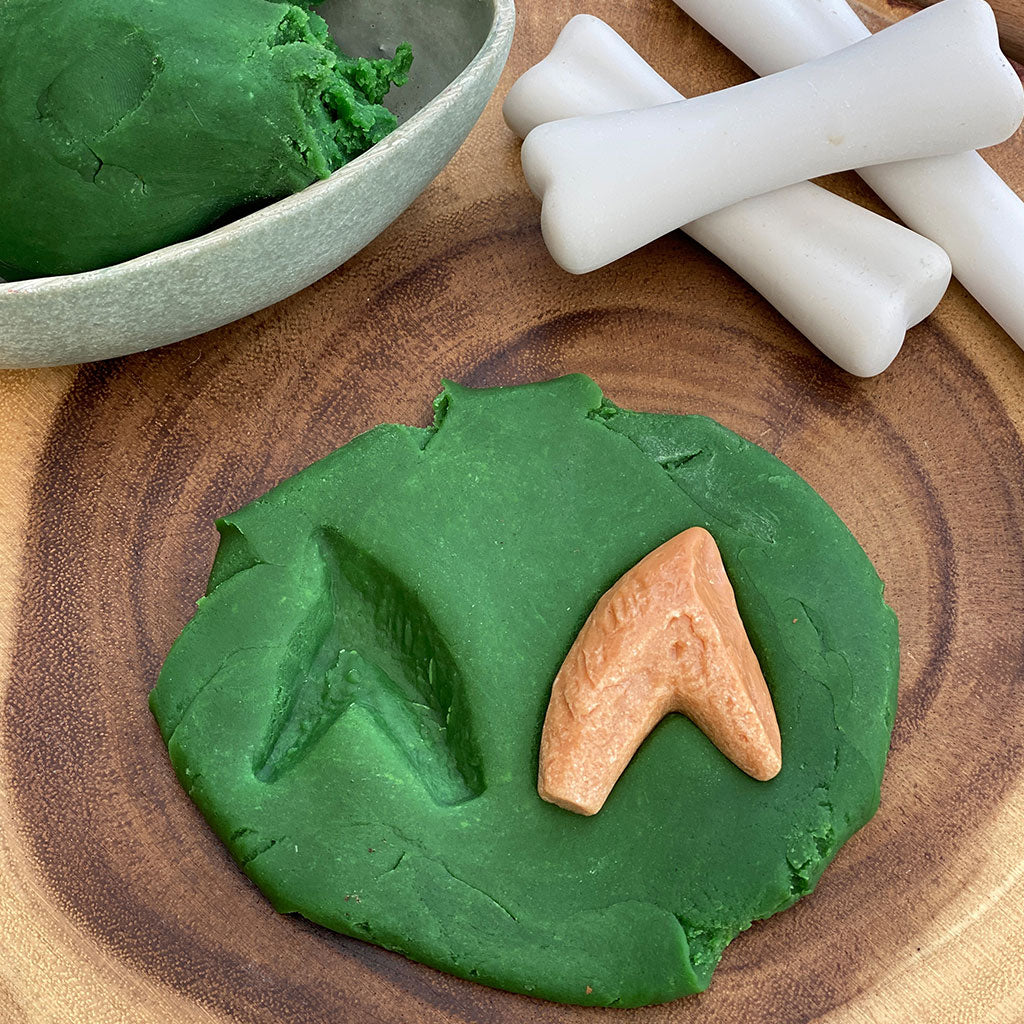 Prehistoric Teeth - Set of 8