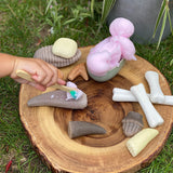 Prehistoric Teeth - Set of 8