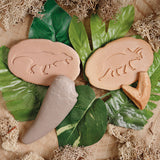 Prehistoric Teeth - Set of 8