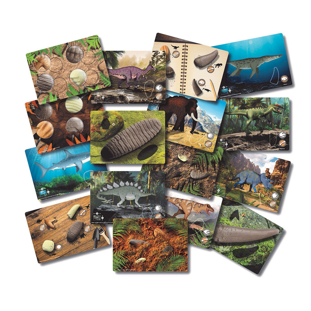 Prehistoric Teeth Activity Cards - Set of 16