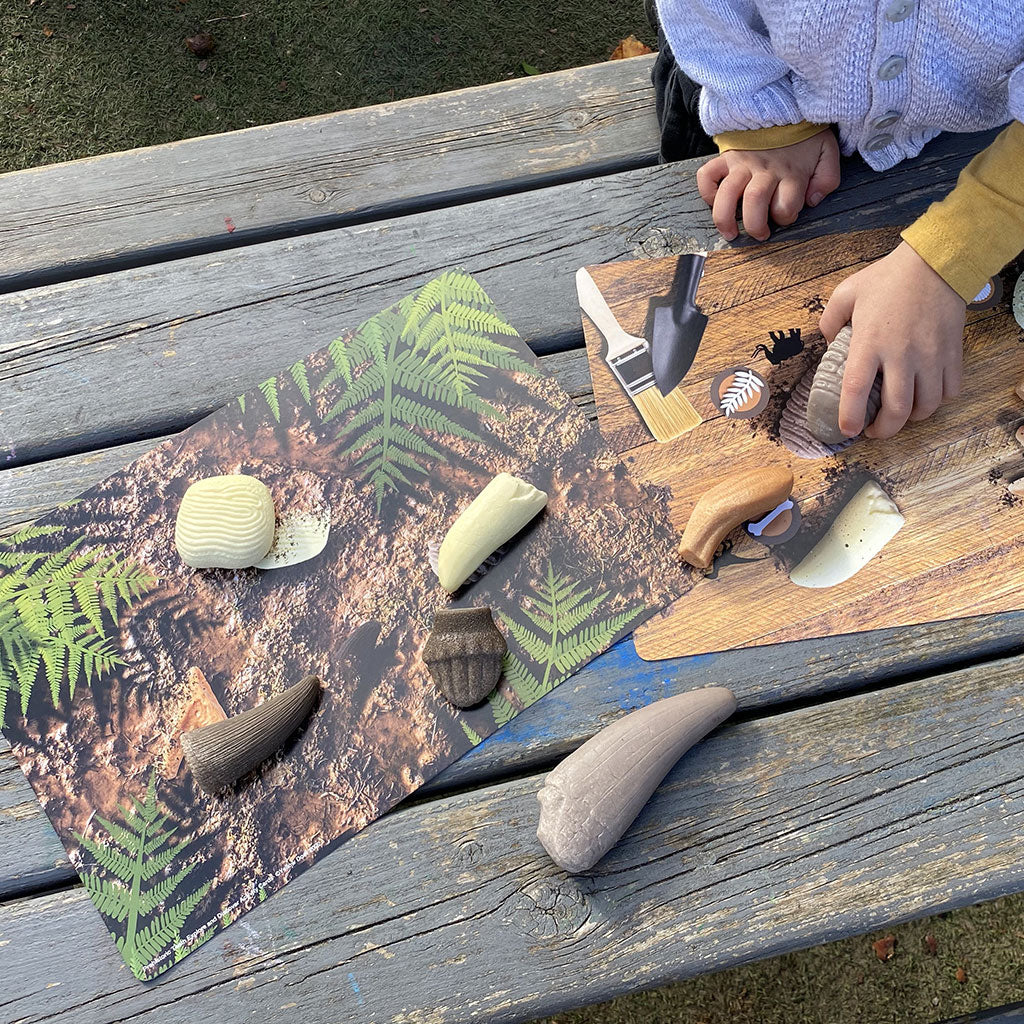 Prehistoric Teeth Activity Cards - Set of 16