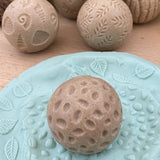 Nature Rollers - Set of 6