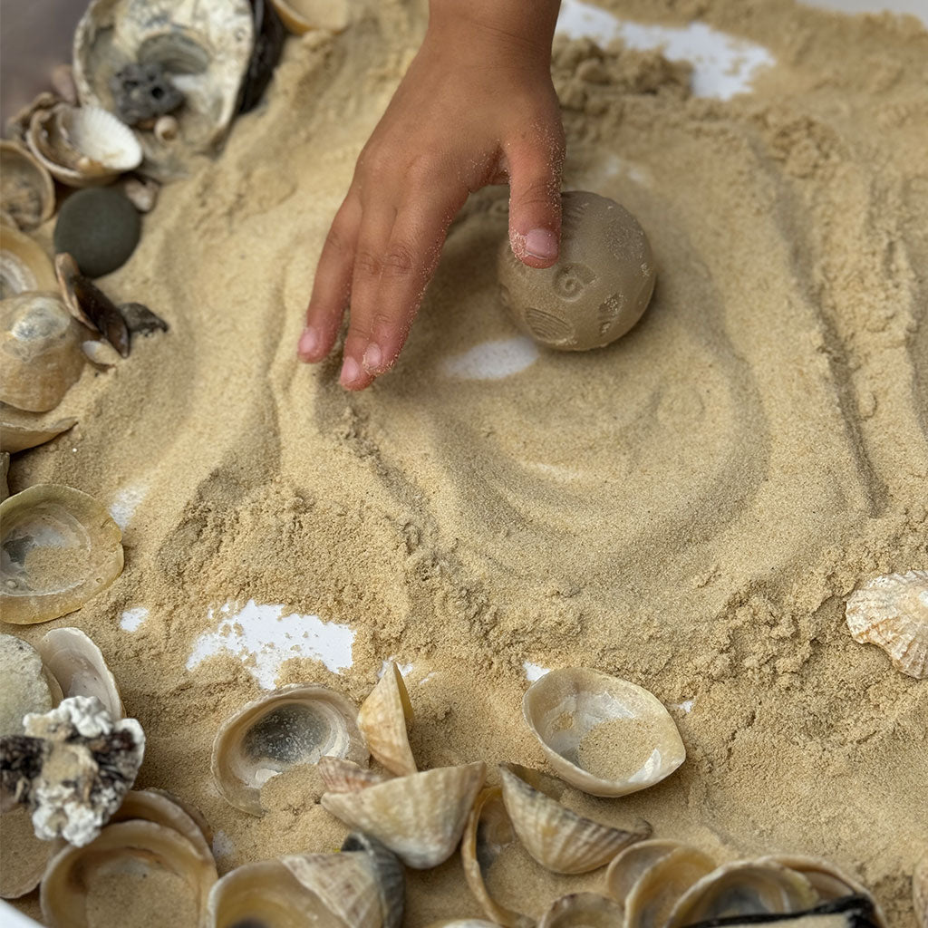 Nature Rollers - Set of 6