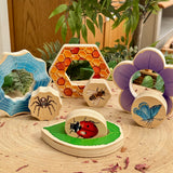 1701-YD1249 Who's Hiding? Garden Bugs_06.jpg