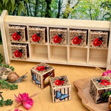 1701-YD1251 Bug Hotel 10-Frame_09.jpg