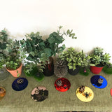 Round Acrylic Mirrors Multi 10cm - 8pc