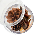 Discovery Magnification Containers - Set of 2