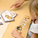 Specimen Stones Fossils - 9pc Set