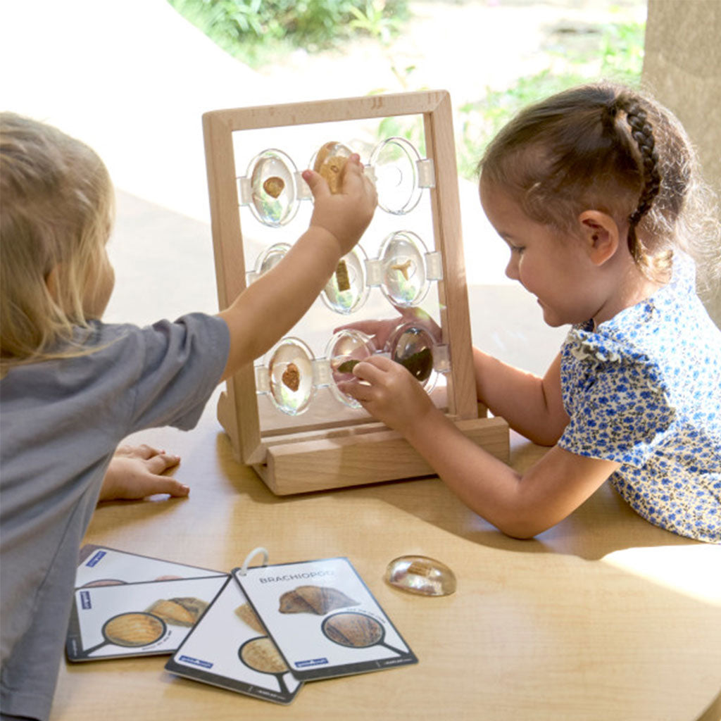 Specimen Stones Fossils - 9pc Set