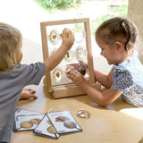 Specimen Stones Fossils - 9pc Set