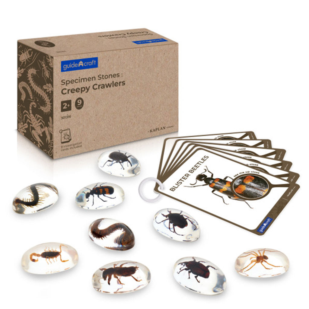 Specimen Stones Creepy Crawlies - 9pc Set