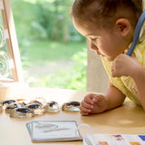 Specimen Stones Creepy Crawlies - 9pc Set