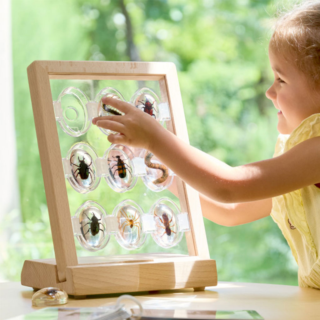 Specimen Stones Creepy Crawlies - 9pc Set