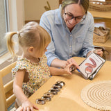 Specimen Stones Creepy Crawlies - 9pc Set