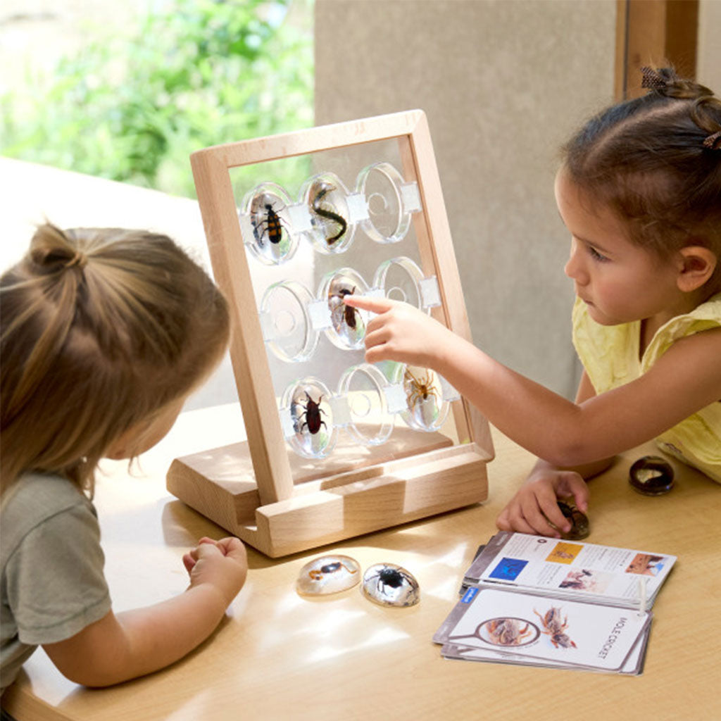 Specimen Stones Creepy Crawlies - 9pc Set
