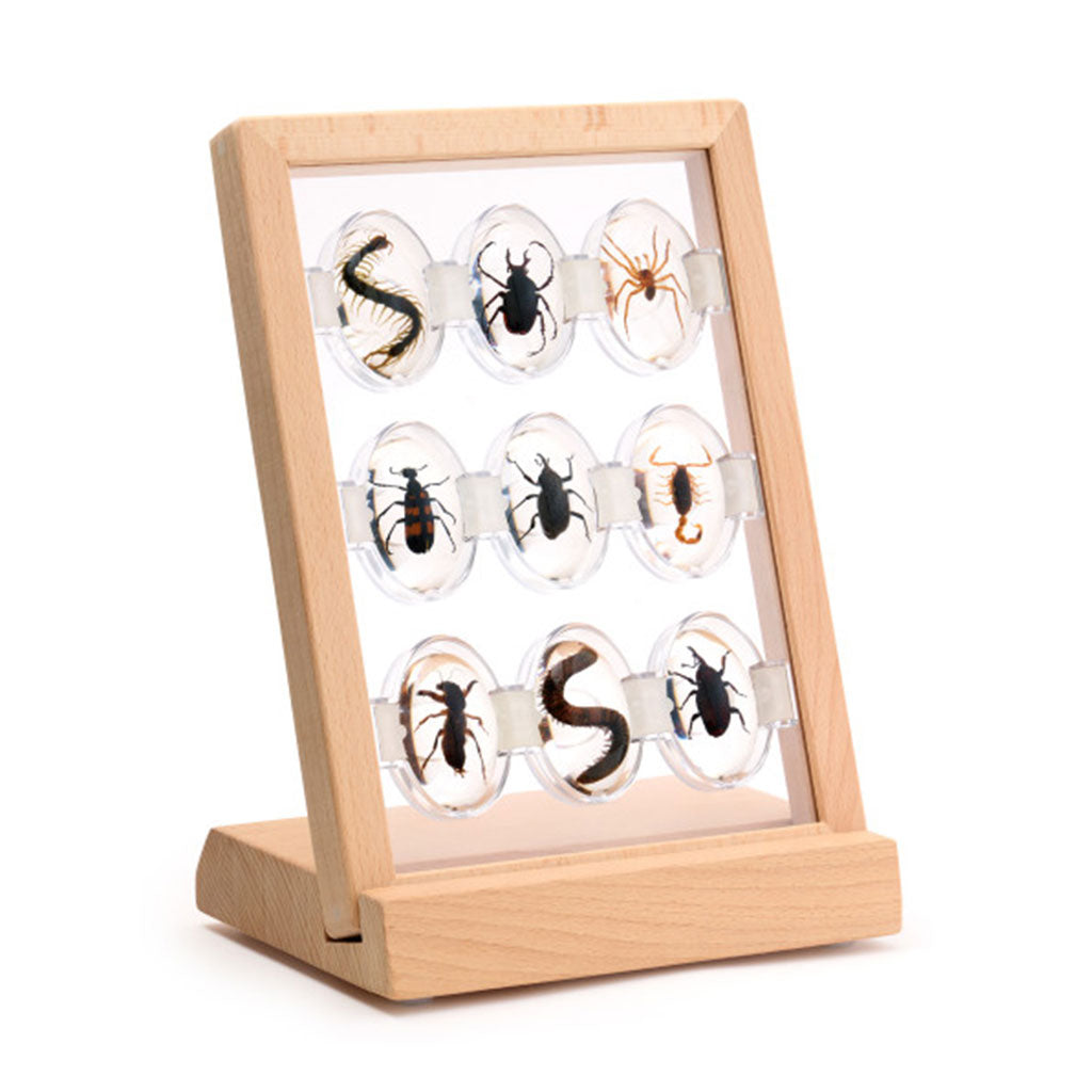 Specimen Stones Creepy Crawlies - 9pc Set