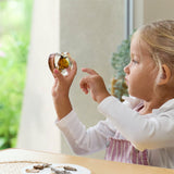 Specimen Life Cycle Puzzle - Butterfly