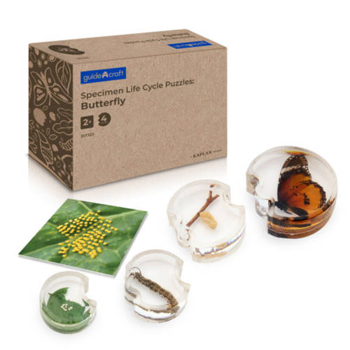 Specimen Life Cycle Puzzles: Butterfly