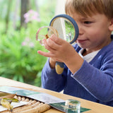 Specimen Life Cycle Puzzle - Moth